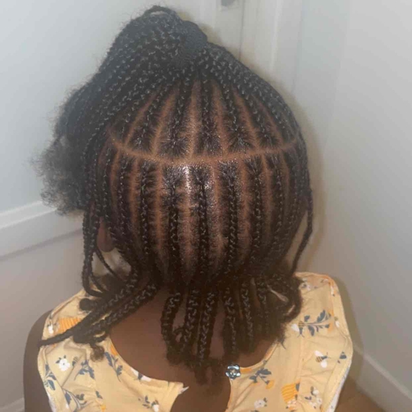 salon de coiffure afro tresse tresses box braids crochet braids vanilles tissages paris 75 77 78 91 92 93 94 95 NMDELKSJ