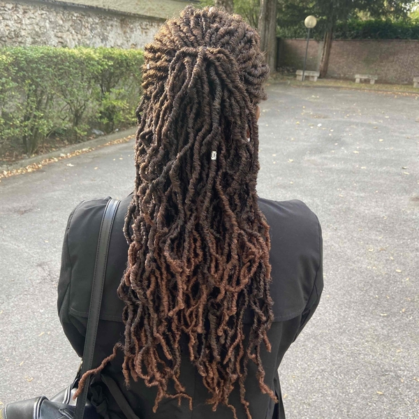 salon de coiffure afro tresse tresses box braids crochet braids vanilles tissages paris 75 77 78 91 92 93 94 95 KDCQBMWN