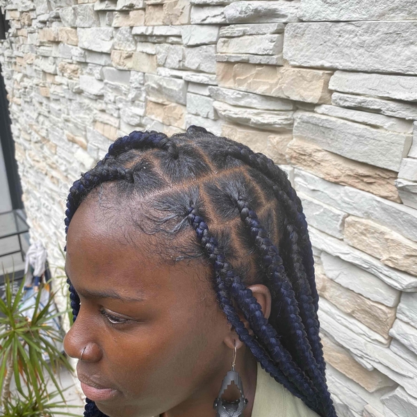 salon de coiffure afro tresse tresses box braids crochet braids vanilles tissages paris 75 77 78 91 92 93 94 95 VFXPSQVW
