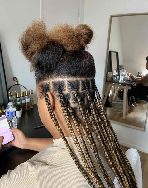 salon de coiffure afro tresse tresses box braids crochet braids vanilles tissages paris 75 77 78 91 92 93 94 95 BMBIKXPB