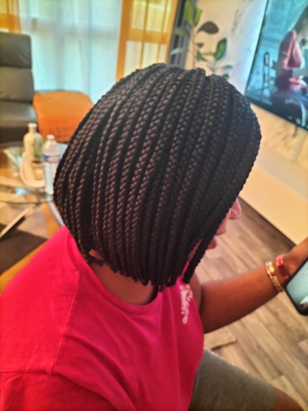 salon de coiffure afro tresse tresses box braids crochet braids vanilles tissages paris 75 77 78 91 92 93 94 95 RGWSFSHA
