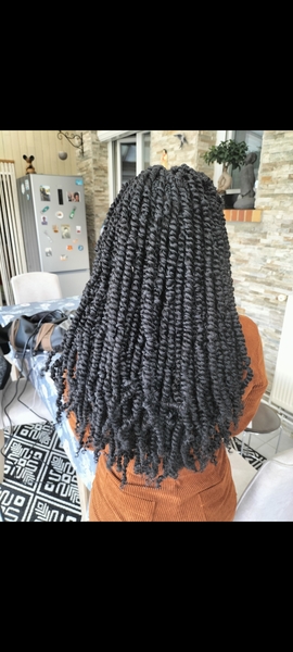 salon de coiffure afro tresse tresses box braids crochet braids vanilles tissages paris 75 77 78 91 92 93 94 95 FMBNNKIL
