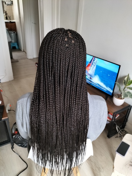 salon de coiffure afro tresse tresses box braids crochet braids vanilles tissages paris 75 77 78 91 92 93 94 95 PGSAKLGH