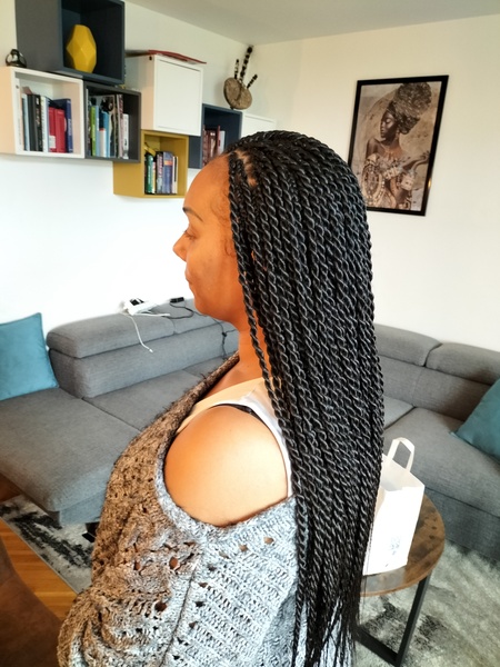 salon de coiffure afro tresse tresses box braids crochet braids vanilles tissages paris 75 77 78 91 92 93 94 95 XMQLEGZP