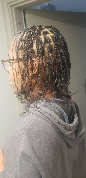 salon de coiffure afro tresse tresses box braids crochet braids vanilles tissages paris 75 77 78 91 92 93 94 95 AGNRIITP