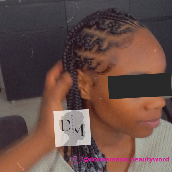salon de coiffure afro tresse tresses box braids crochet braids vanilles tissages paris 75 77 78 91 92 93 94 95 YMYDZIVD