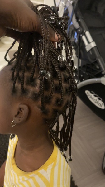 salon de coiffure afro tresse tresses box braids crochet braids vanilles tissages paris 75 77 78 91 92 93 94 95 WPTLRRMO
