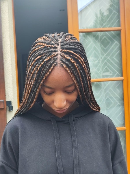 salon de coiffure afro tresse tresses box braids crochet braids vanilles tissages paris 75 77 78 91 92 93 94 95 TCSSPVFN