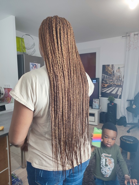 salon de coiffure afro tresse tresses box braids crochet braids vanilles tissages paris 75 77 78 91 92 93 94 95 EPTORMSD