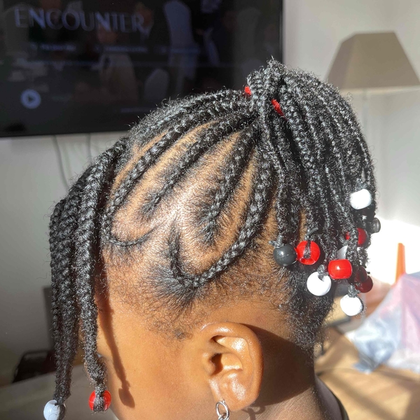 salon de coiffure afro tresse tresses box braids crochet braids vanilles tissages paris 75 77 78 91 92 93 94 95 THHDYQDB