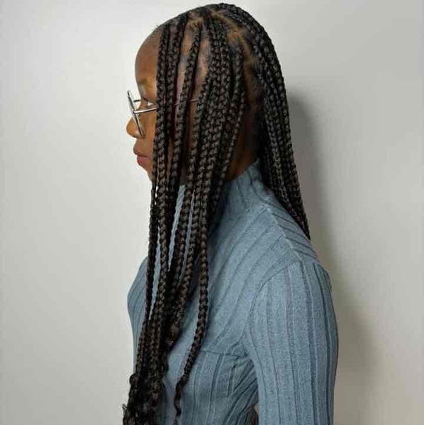 salon de coiffure afro tresse tresses box braids crochet braids vanilles tissages paris 75 77 78 91 92 93 94 95 RFUBCFPG