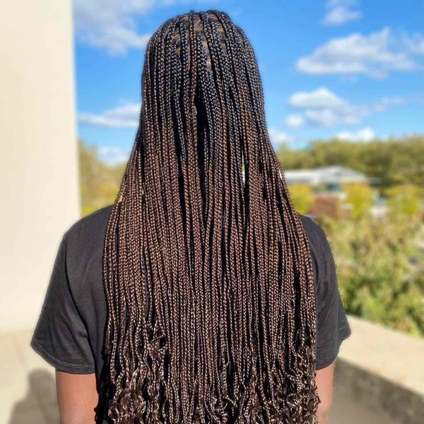 salon de coiffure afro tresse tresses box braids crochet braids vanilles tissages paris 75 77 78 91 92 93 94 95 XJHJUJDZ