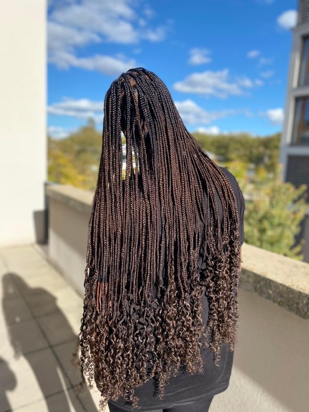 salon de coiffure afro tresse tresses box braids crochet braids vanilles tissages paris 75 77 78 91 92 93 94 95 DTRIBXFY