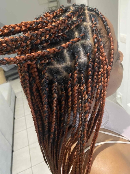salon de coiffure afro tresse tresses box braids crochet braids vanilles tissages paris 75 77 78 91 92 93 94 95 EOUUSWFY