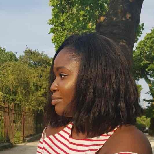 salon de coiffure afro tresse tresses box braids crochet braids vanilles tissages paris 75 77 78 91 92 93 94 95 RLYAWMLO