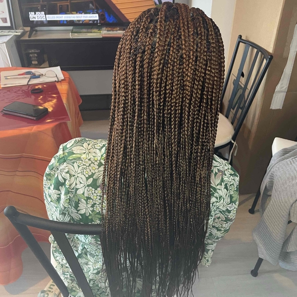 salon de coiffure afro tresse tresses box braids crochet braids vanilles tissages paris 75 77 78 91 92 93 94 95 AYKOJAIL