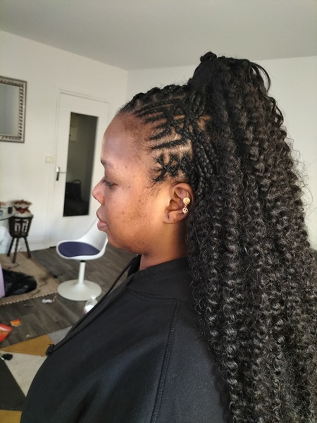salon de coiffure afro tresse tresses box braids crochet braids vanilles tissages paris 75 77 78 91 92 93 94 95 JNYFIGWN