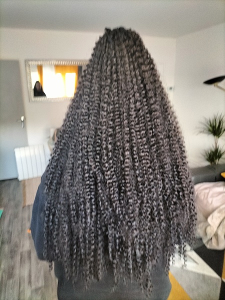 salon de coiffure afro tresse tresses box braids crochet braids vanilles tissages paris 75 77 78 91 92 93 94 95 ZRDVUMTW