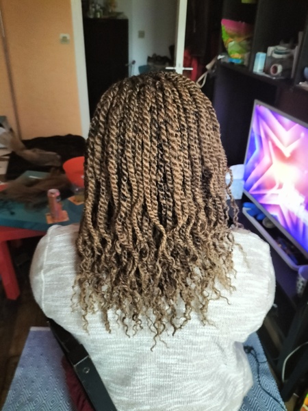 salon de coiffure afro tresse tresses box braids crochet braids vanilles tissages paris 75 77 78 91 92 93 94 95 WSTRMRAI