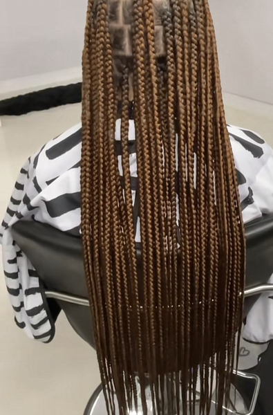 salon de coiffure afro tresse tresses box braids crochet braids vanilles tissages paris 75 77 78 91 92 93 94 95 LUJIOBTS