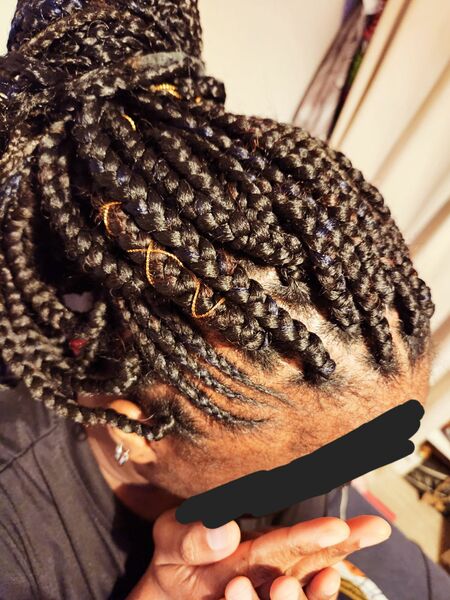 salon de coiffure afro tresse tresses box braids crochet braids vanilles tissages paris 75 77 78 91 92 93 94 95 IDZAUAJH