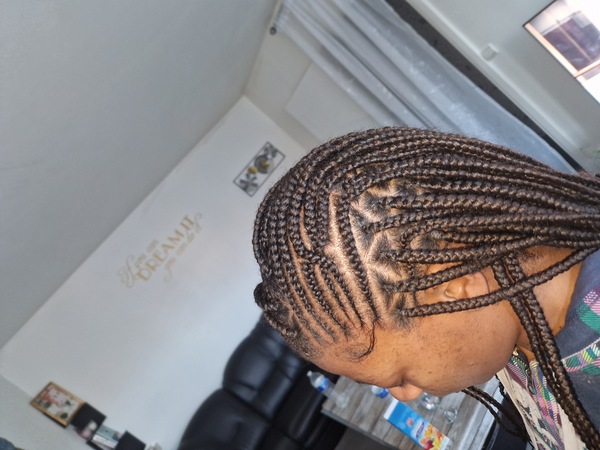 salon de coiffure afro tresse tresses box braids crochet braids vanilles tissages paris 75 77 78 91 92 93 94 95 ORCFCGYG