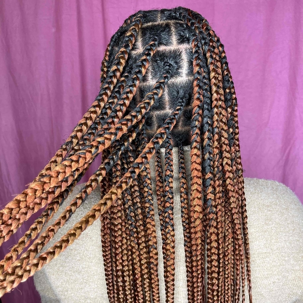 salon de coiffure afro tresse tresses box braids crochet braids vanilles tissages paris 75 77 78 91 92 93 94 95 PKJEZDVA