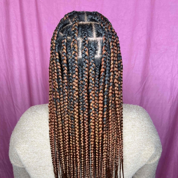 salon de coiffure afro tresse tresses box braids crochet braids vanilles tissages paris 75 77 78 91 92 93 94 95 JQWMKHOT