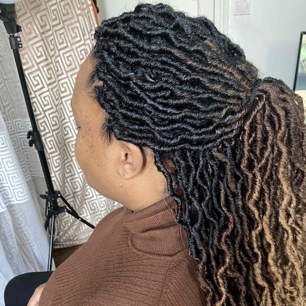 salon de coiffure afro tresse tresses box braids crochet braids vanilles tissages paris 75 77 78 91 92 93 94 95 VCICKQIR