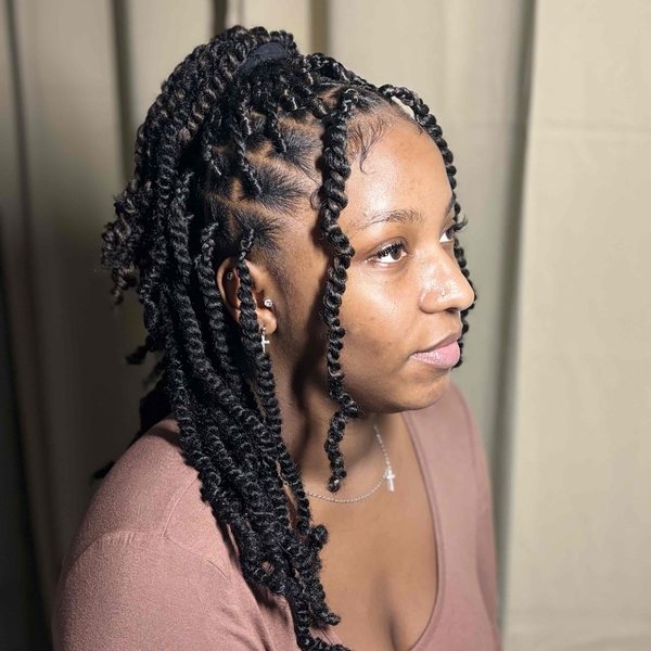 salon de coiffure afro tresse tresses box braids crochet braids vanilles tissages paris 75 77 78 91 92 93 94 95 KXAHTJIV