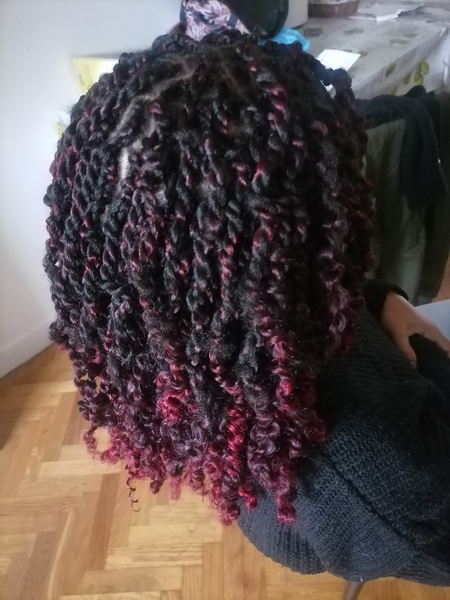salon de coiffure afro tresse tresses box braids crochet braids vanilles tissages paris 75 77 78 91 92 93 94 95 JXNMFNIT