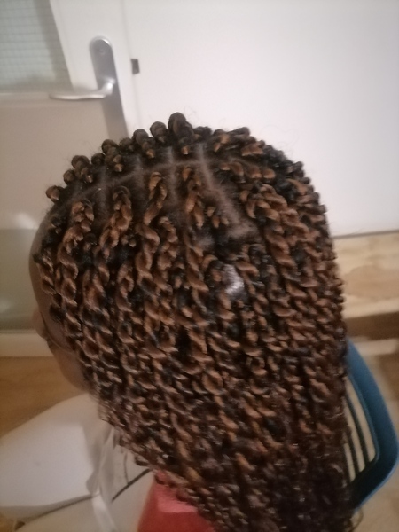 salon de coiffure afro tresse tresses box braids crochet braids vanilles tissages paris 75 77 78 91 92 93 94 95 MZLNTRMI