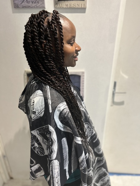 salon de coiffure afro tresse tresses box braids crochet braids vanilles tissages paris 75 77 78 91 92 93 94 95 SBRTZTYO