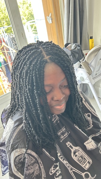 salon de coiffure afro tresse tresses box braids crochet braids vanilles tissages paris 75 77 78 91 92 93 94 95 NTTVBIQP
