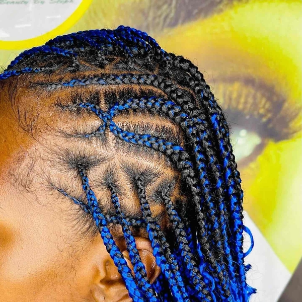 salon de coiffure afro tresse tresses box braids crochet braids vanilles tissages paris 75 77 78 91 92 93 94 95 DEXYLUIM