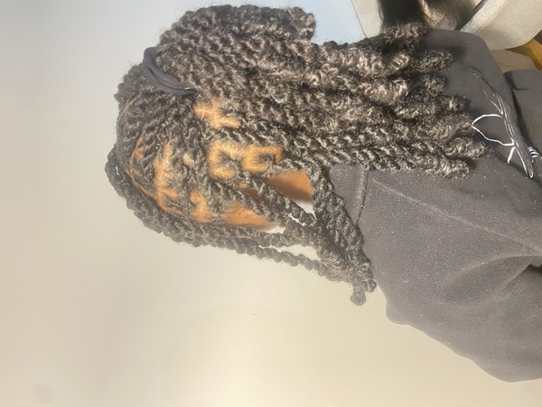 salon de coiffure afro tresse tresses box braids crochet braids vanilles tissages paris 75 77 78 91 92 93 94 95 OILRRCJQ