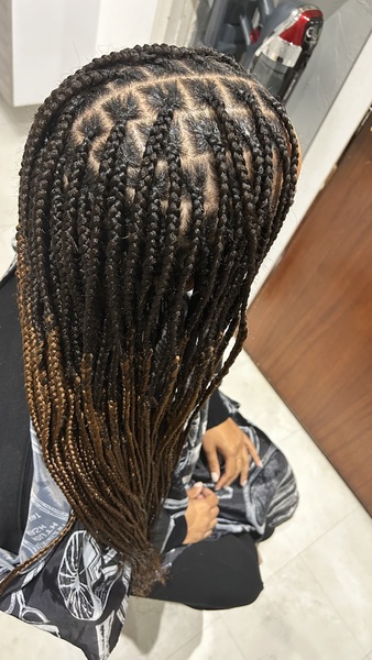 salon de coiffure afro tresse tresses box braids crochet braids vanilles tissages paris 75 77 78 91 92 93 94 95 SPBLGTGR