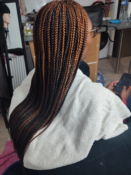 salon de coiffure afro tresse tresses box braids crochet braids vanilles tissages paris 75 77 78 91 92 93 94 95 FIRFWDKF