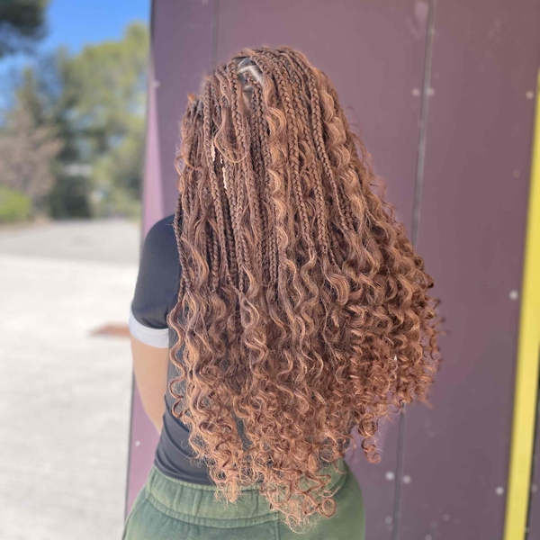 salon de coiffure afro tresse tresses box braids crochet braids vanilles tissages paris 75 77 78 91 92 93 94 95 PLDMRJHT