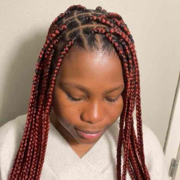 salon de coiffure afro tresse tresses box braids crochet braids vanilles tissages paris 75 77 78 91 92 93 94 95 EUHJKHXU