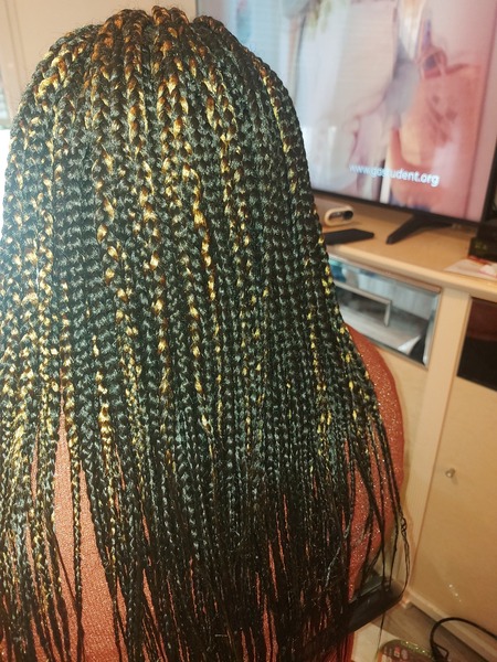 salon de coiffure afro tresse tresses box braids crochet braids vanilles tissages paris 75 77 78 91 92 93 94 95 YBSHIQAE