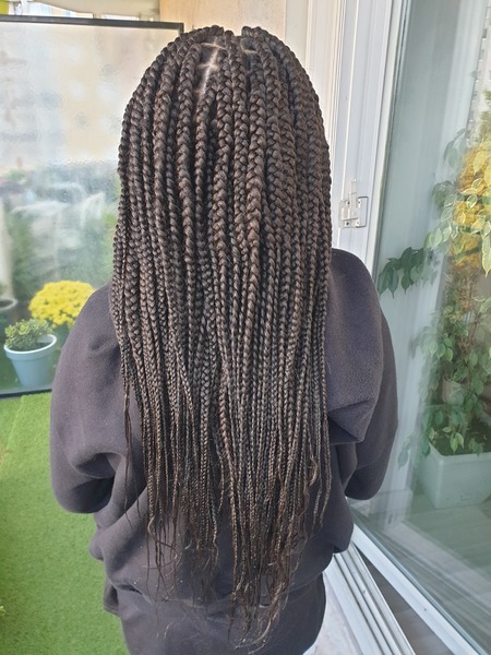 salon de coiffure afro tresse tresses box braids crochet braids vanilles tissages paris 75 77 78 91 92 93 94 95 BGIHUNHH