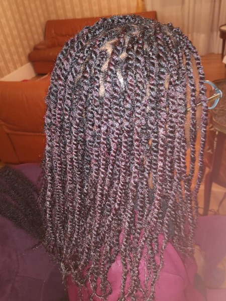 salon de coiffure afro tresse tresses box braids crochet braids vanilles tissages paris 75 77 78 91 92 93 94 95 BKUADAIV