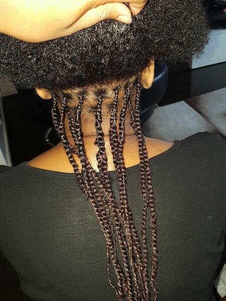 salon de coiffure afro tresse tresses box braids crochet braids vanilles tissages paris 75 77 78 91 92 93 94 95 NWCEYVBB