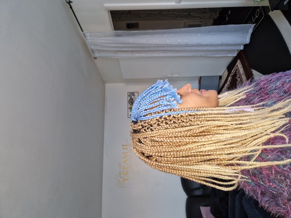 salon de coiffure afro tresse tresses box braids crochet braids vanilles tissages paris 75 77 78 91 92 93 94 95 NDVEHBXR