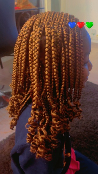 salon de coiffure afro tresse tresses box braids crochet braids vanilles tissages paris 75 77 78 91 92 93 94 95 UWHHAZCD
