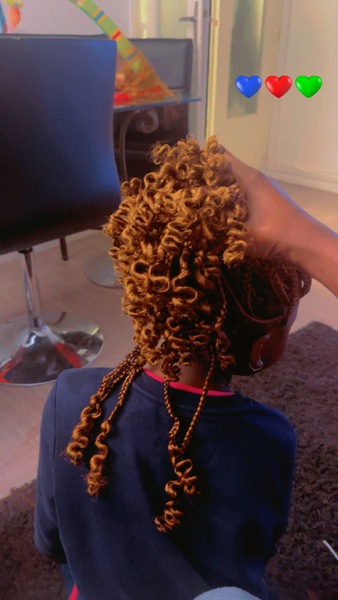 salon de coiffure afro tresse tresses box braids crochet braids vanilles tissages paris 75 77 78 91 92 93 94 95 SDSNKXUW