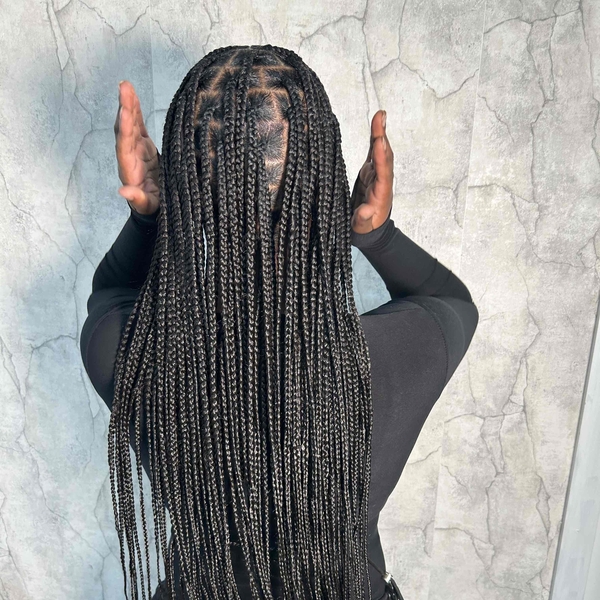 salon de coiffure afro tresse tresses box braids crochet braids vanilles tissages paris 75 77 78 91 92 93 94 95 JUIZMPNA