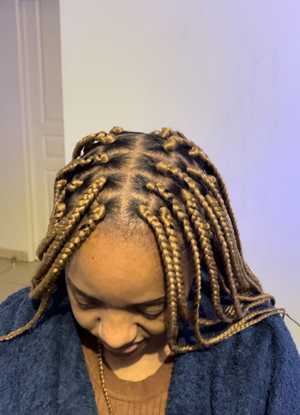 salon de coiffure afro tresse tresses box braids crochet braids vanilles tissages paris 75 77 78 91 92 93 94 95 CTFNFVRQ