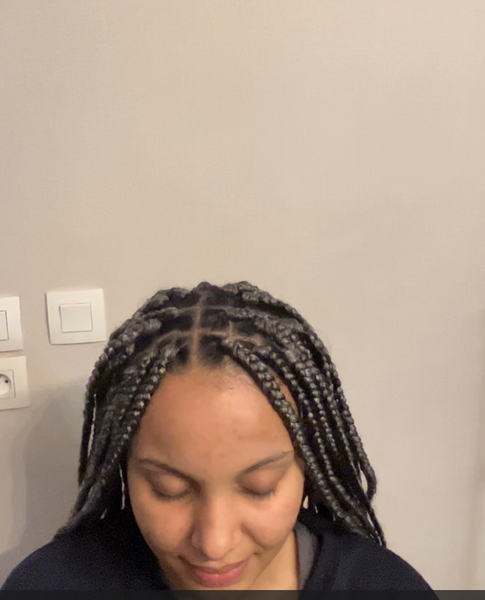 salon de coiffure afro tresse tresses box braids crochet braids vanilles tissages paris 75 77 78 91 92 93 94 95 IBRJDIPZ